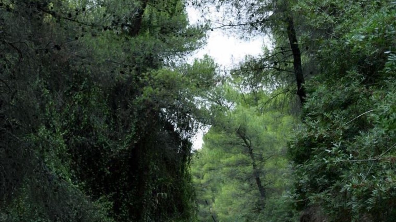 Photo of Outdoor in Saronikos