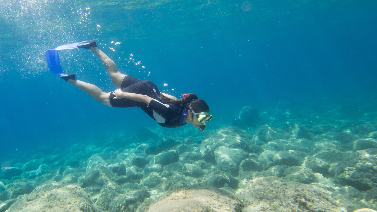 Photo of Others in Saronikos