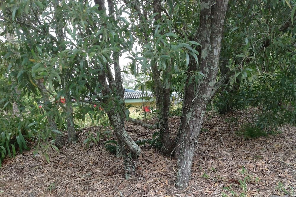 Photo of Outdoor in Kenmore Hills