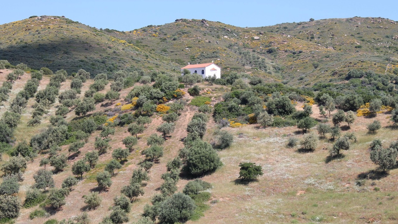 Photo of Outdoor in Petries