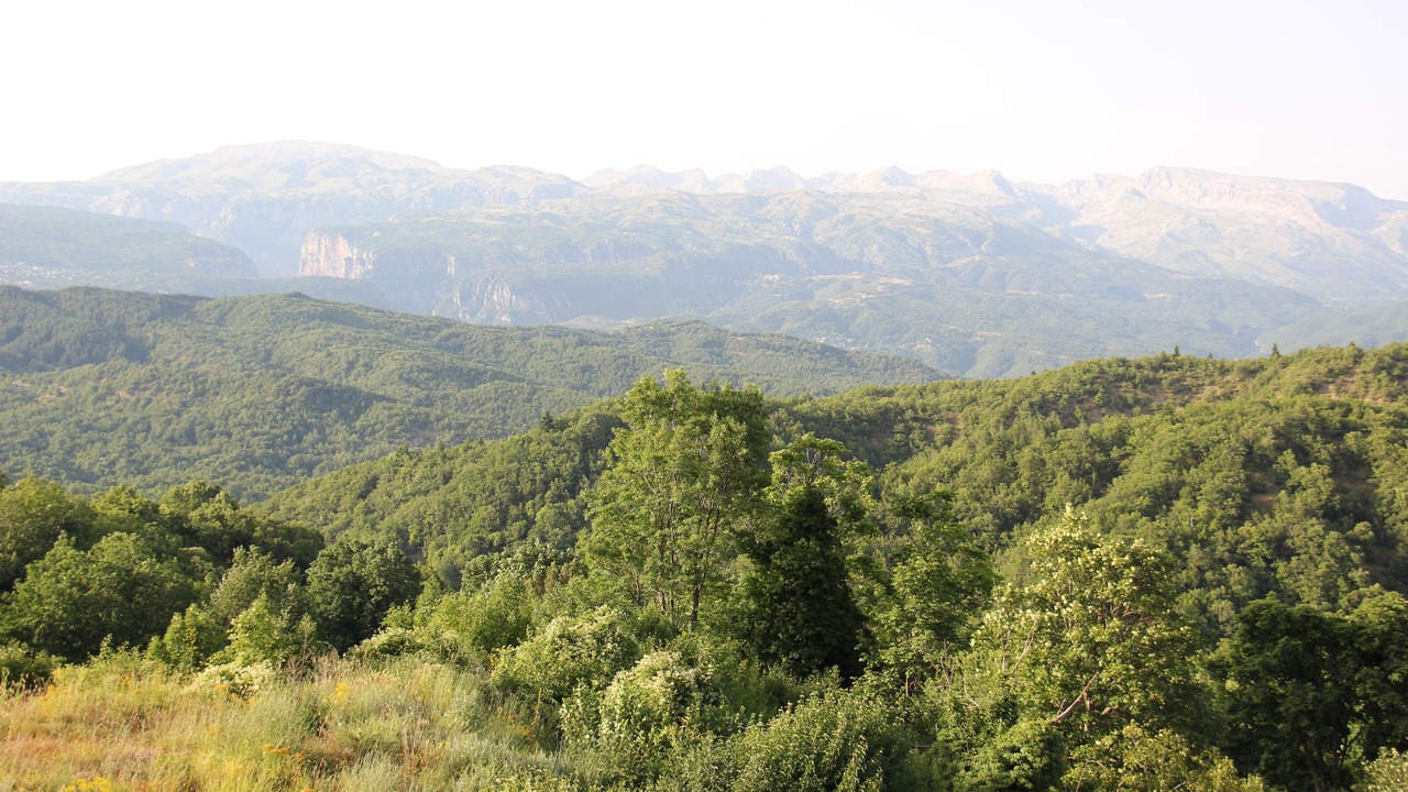 Photo of Outdoor in Elati
