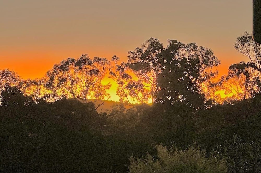 Photo of Outdoor in Yandina Creek