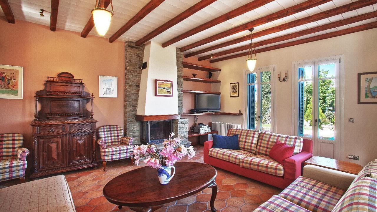 Photo of Livingroom in Andros Town