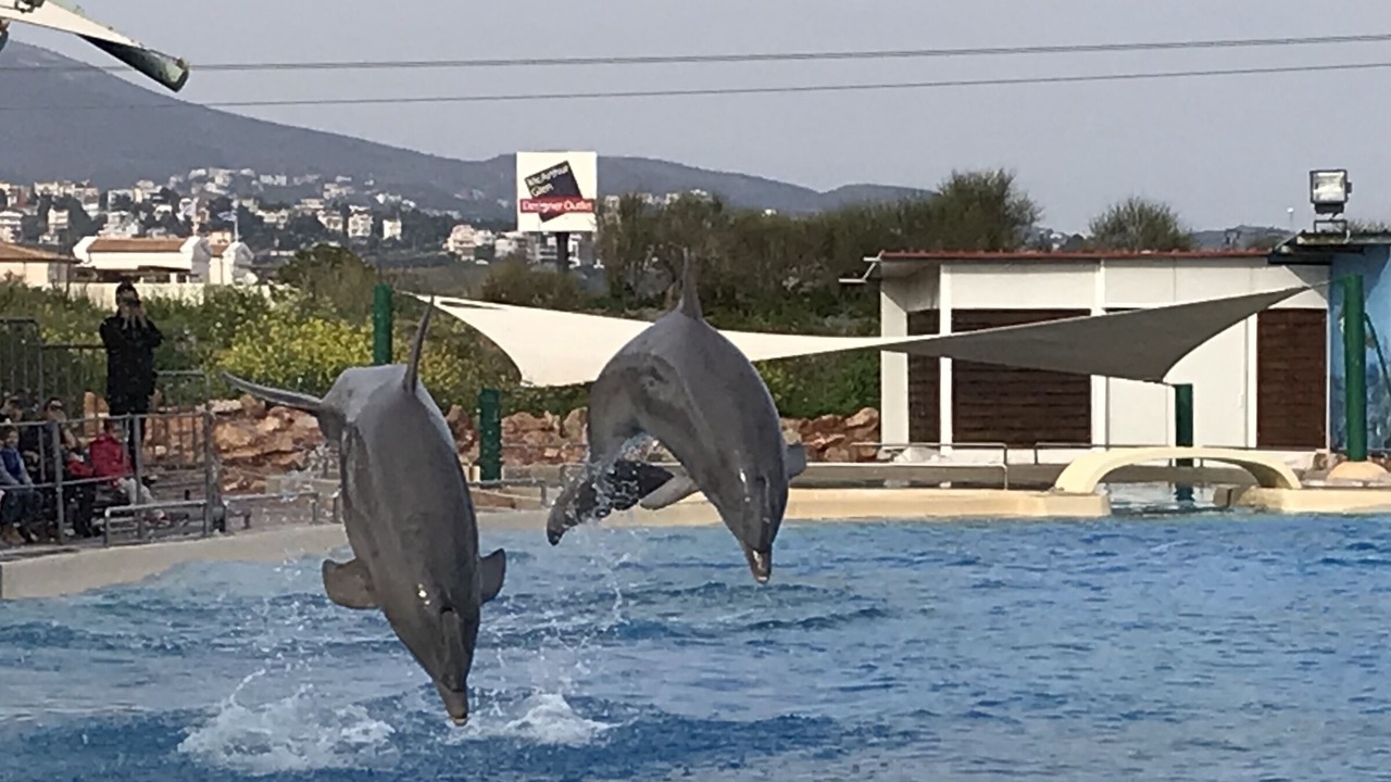 Photo of Others in Spata-Artemida