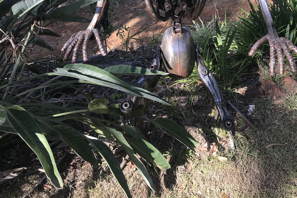 Photo of Outdoor in Brisbane Waterfront