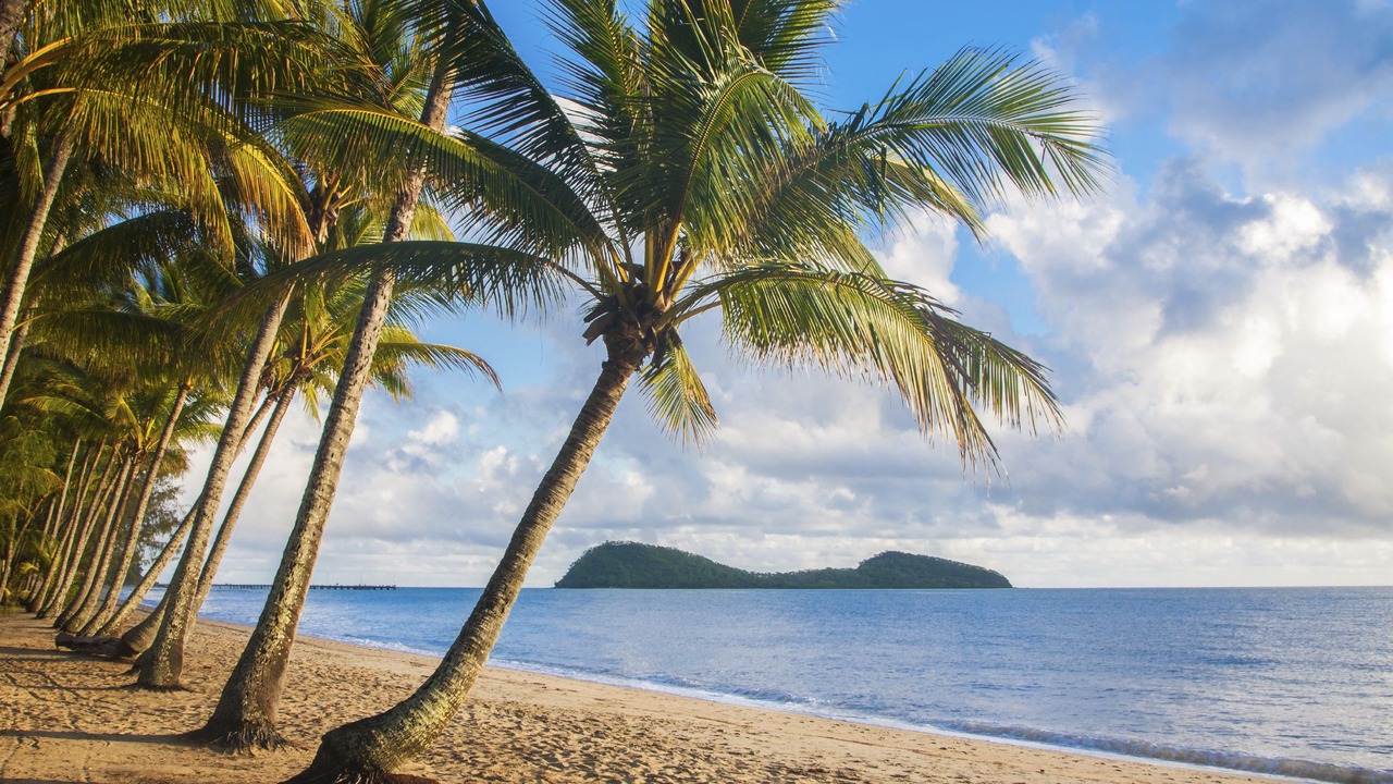 Photo of Others in Palm Cove
