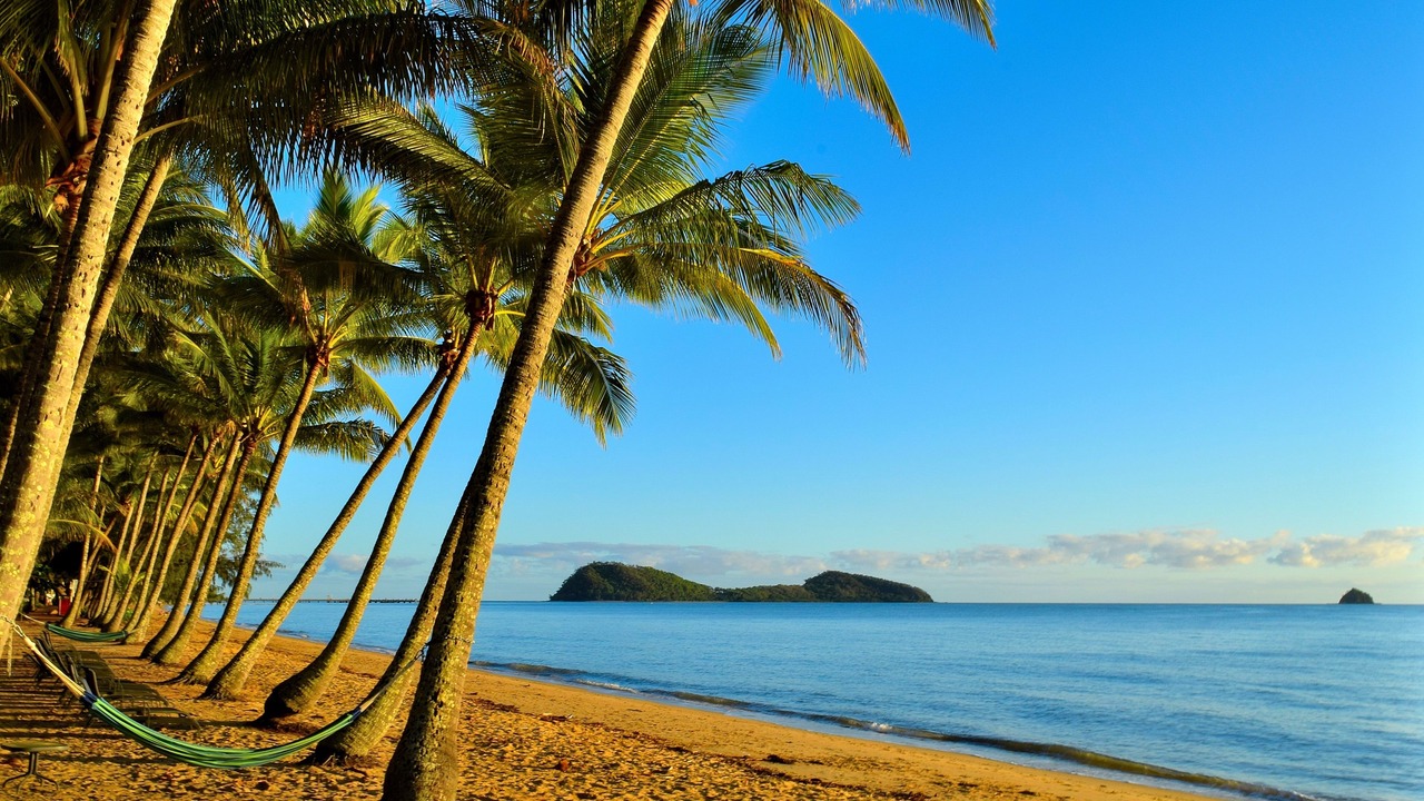 Photo of Others in Palm Cove