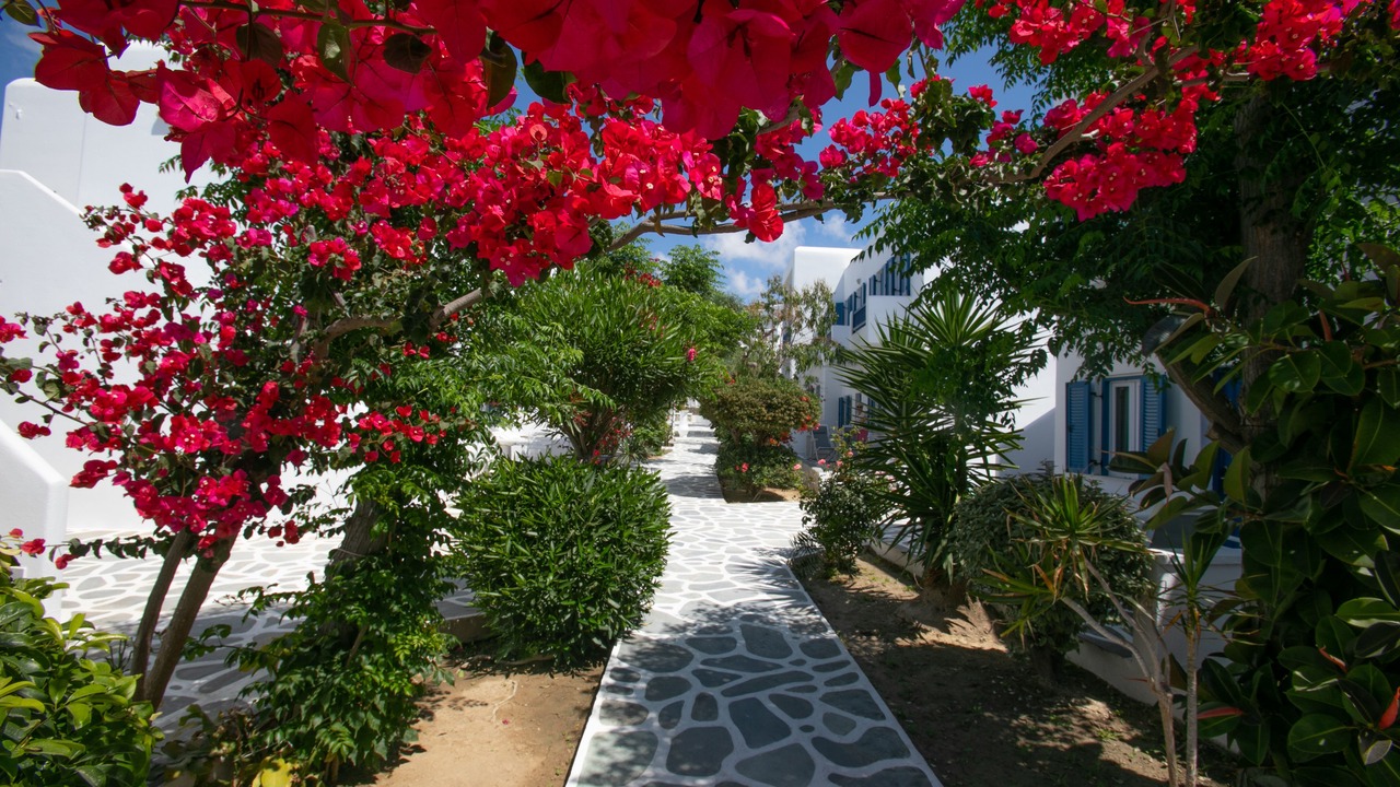 Photo of Outdoor in Platis Gialos