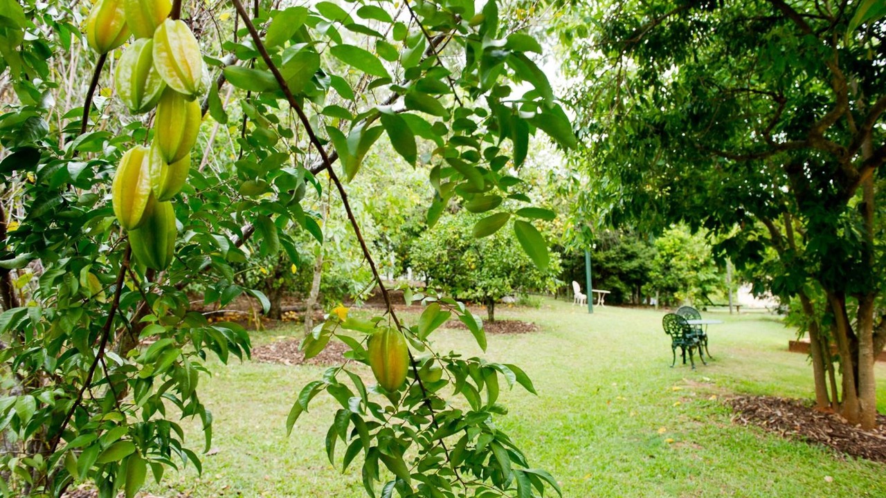 Photo of Outdoor in Glass House Mountains