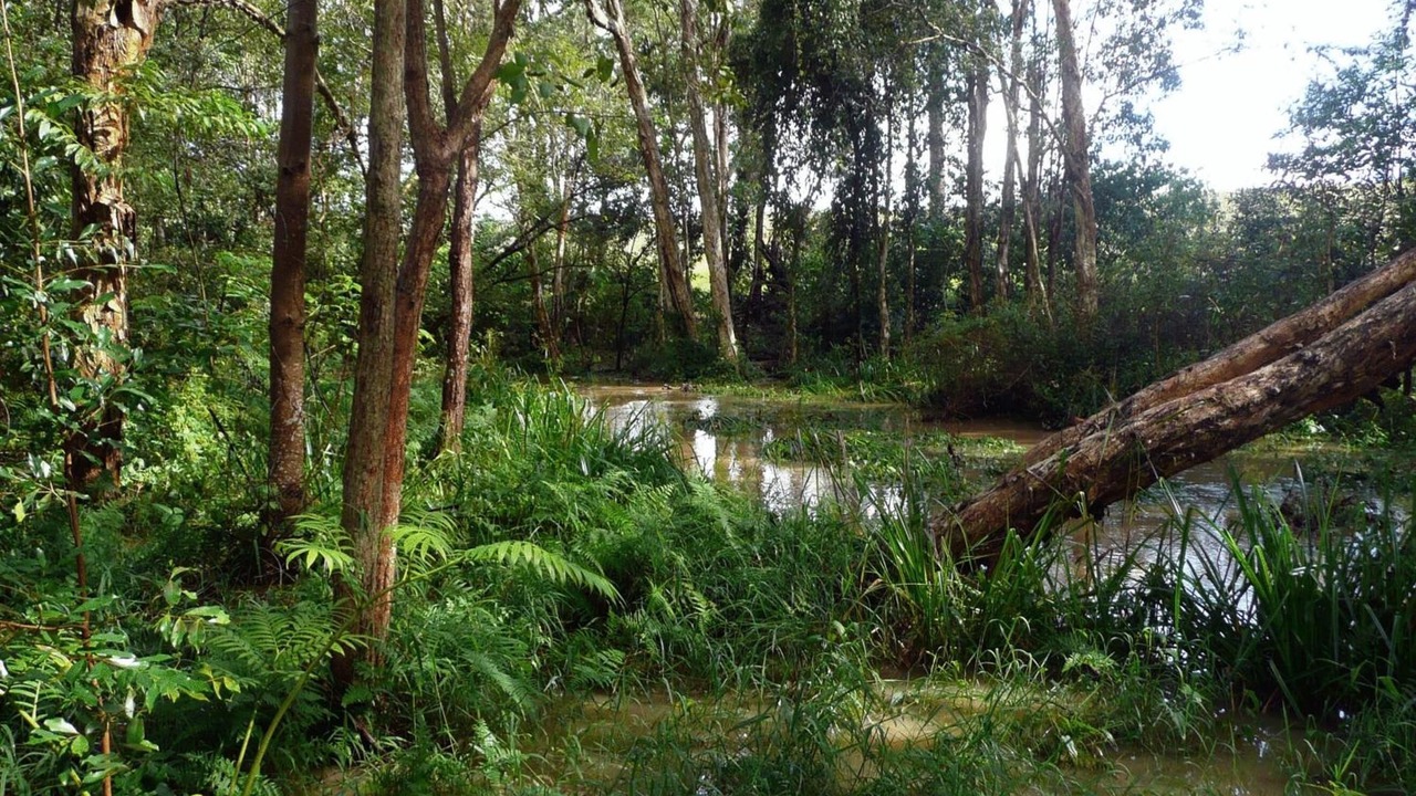 Photo of Outdoor in Glass House Mountains