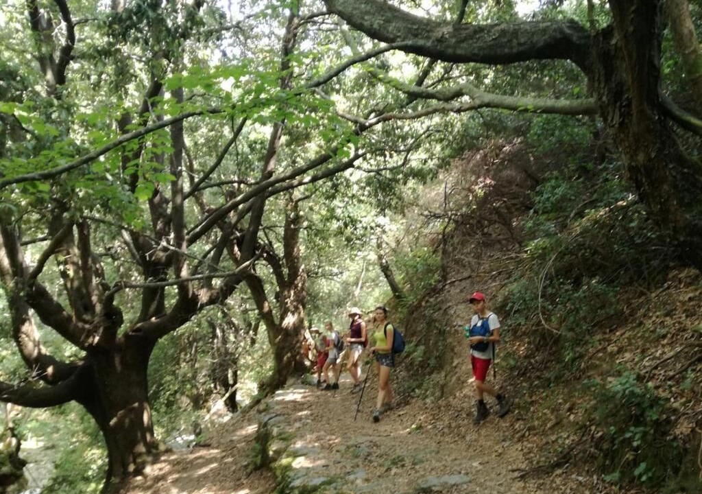 Photo of Outdoor in Marmari