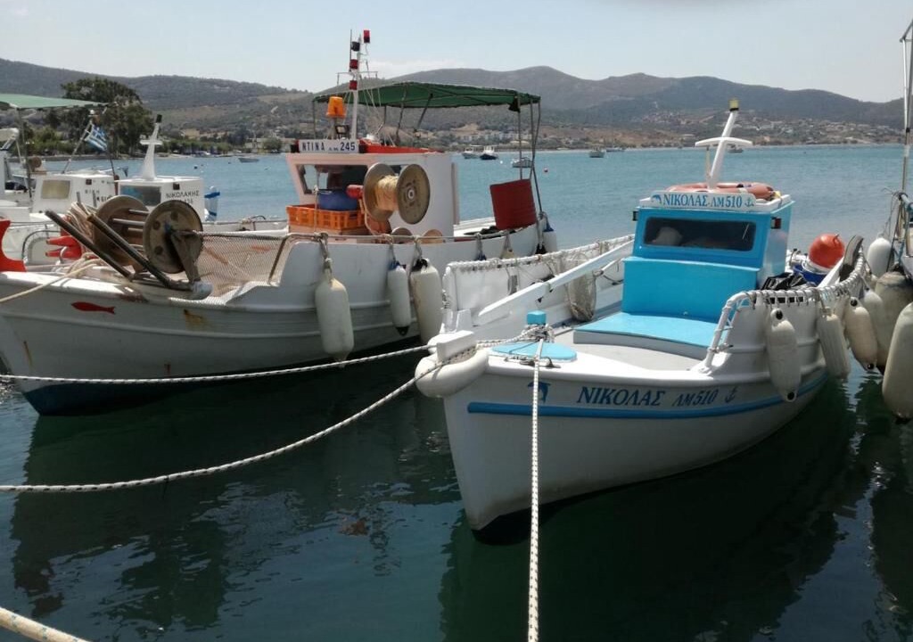 Photo of Others in Marmari