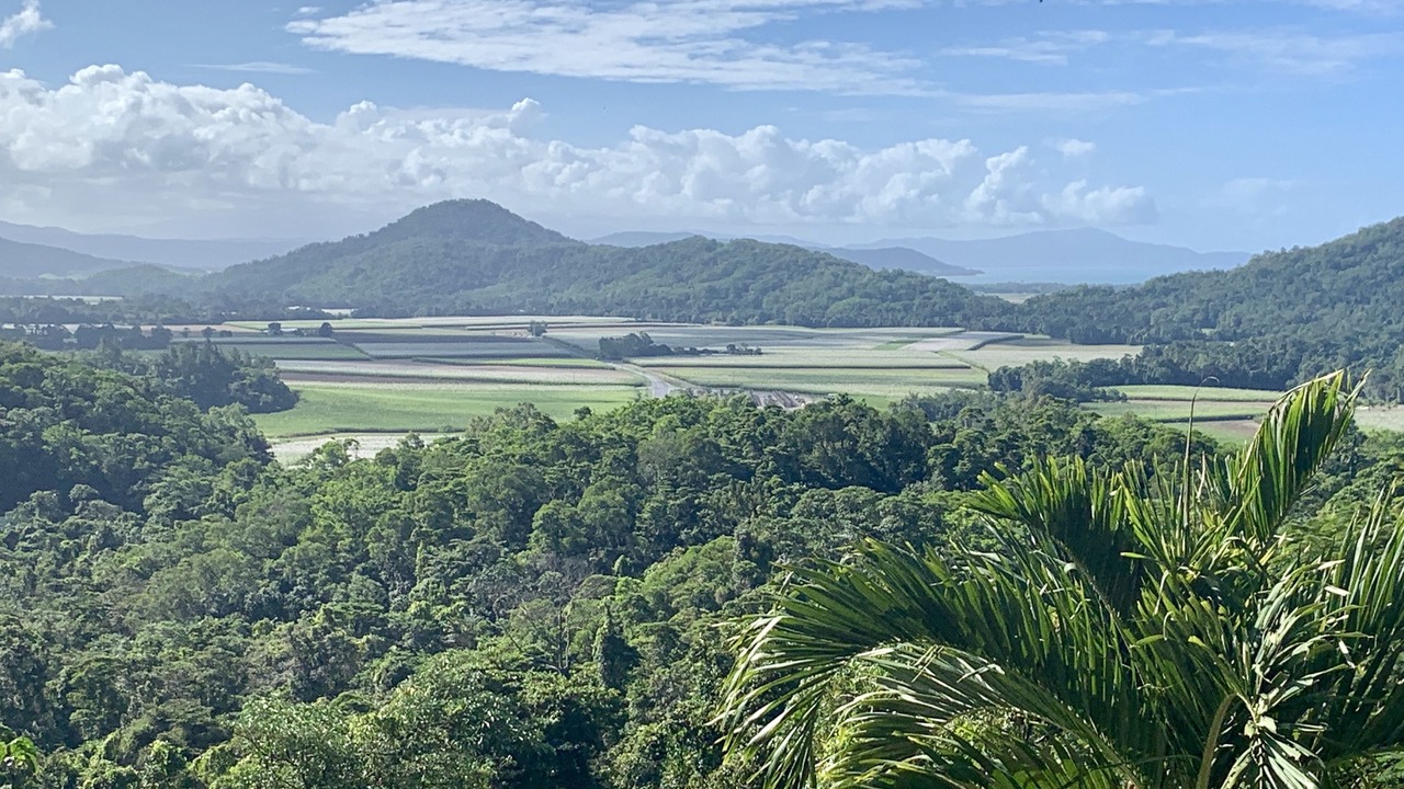 Photo of Others in Cassowary