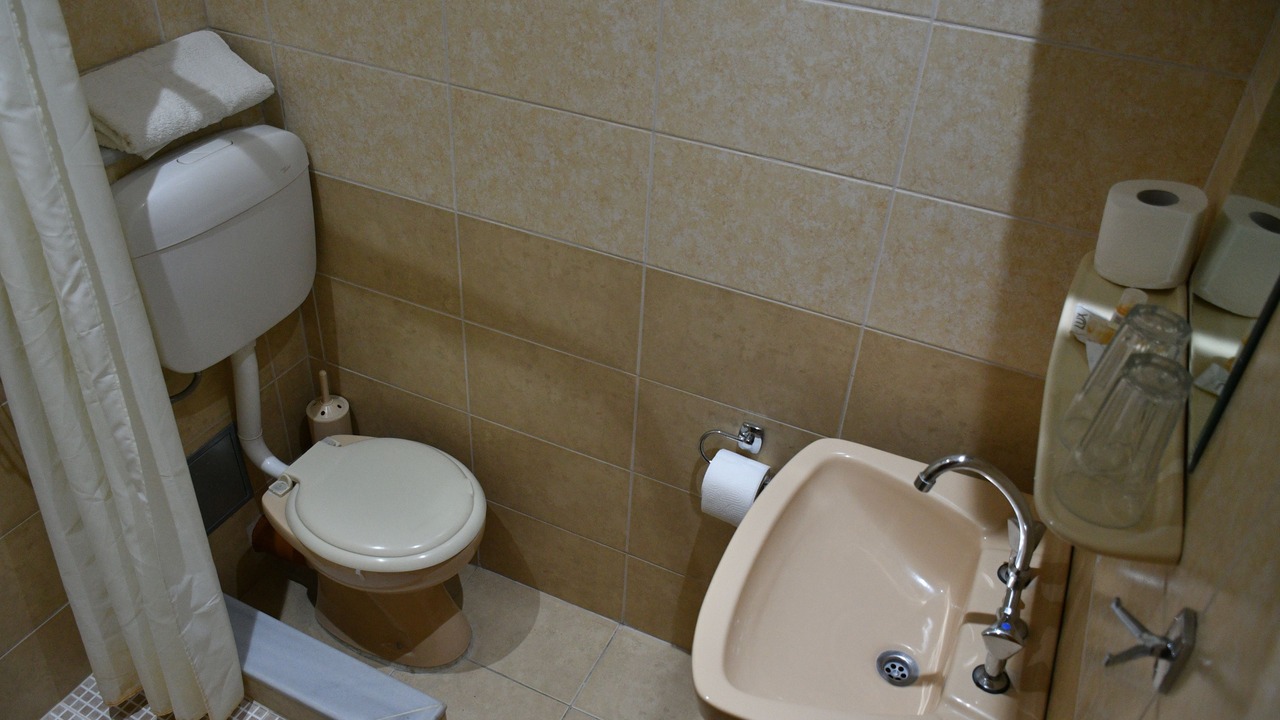Photo of Bathroom in Archaia Olympia