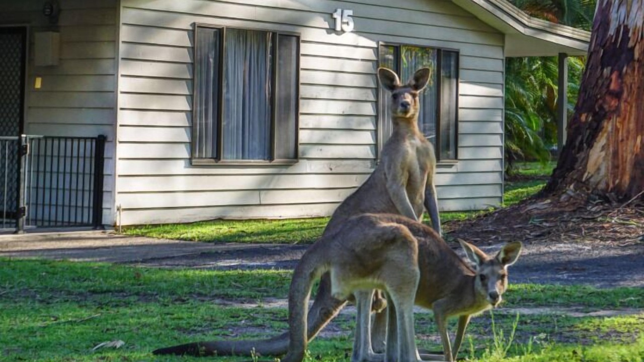 Photo of Outdoor in Noosa North Shore