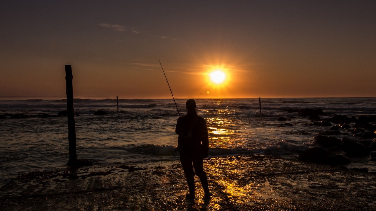Photo of Others in Saint Francis Bay