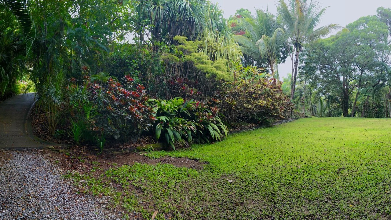 Photo of Outdoor in Forest Creek