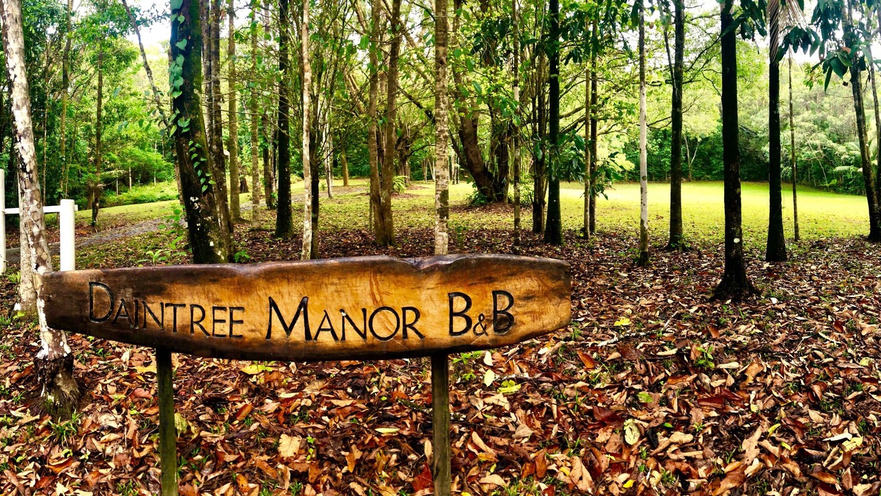 Photo of Outdoor in Forest Creek