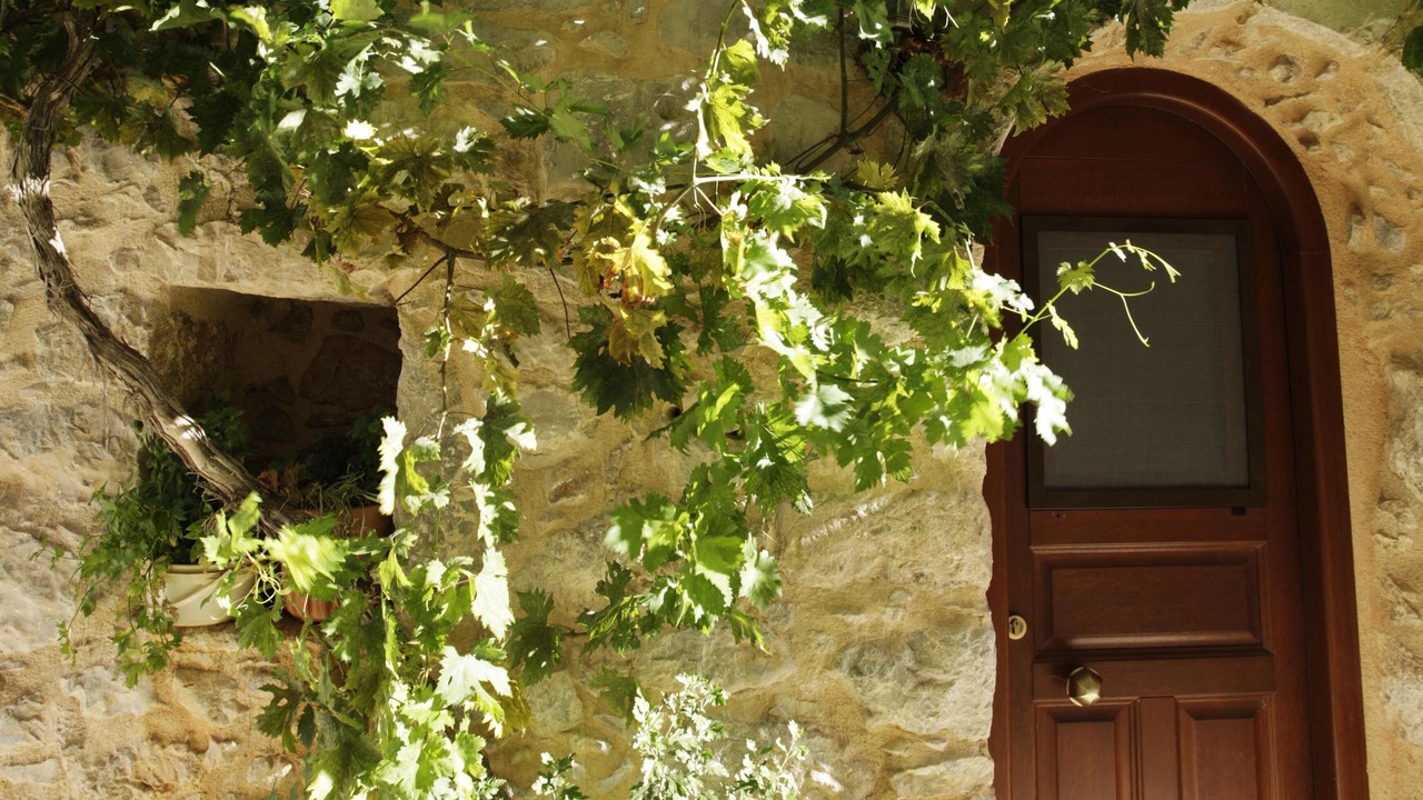 Photo of Outdoor in Vessa