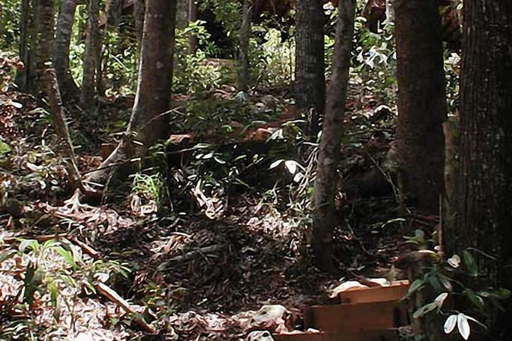 Photo of Outdoor in Kamerunga