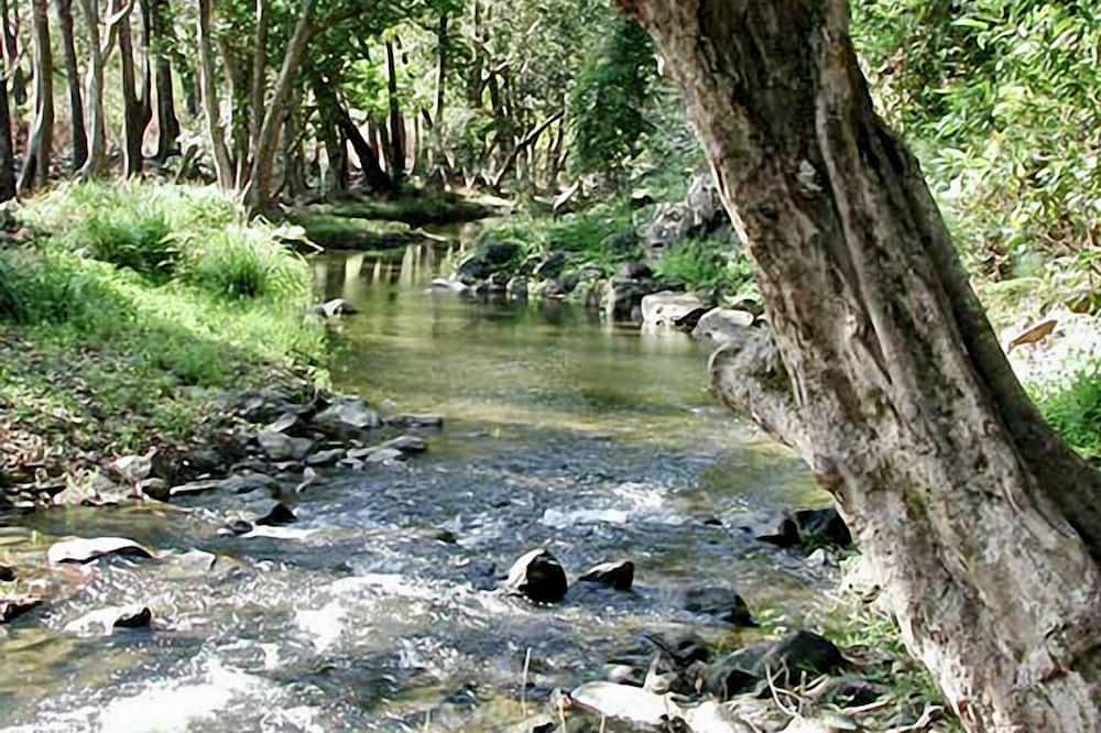 Photo of Others in Kamerunga