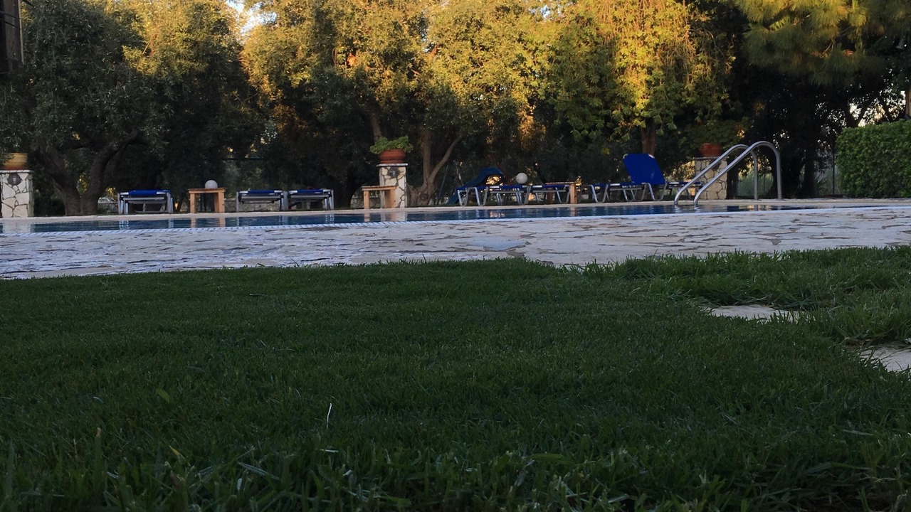 Photo of Outdoor in Astros