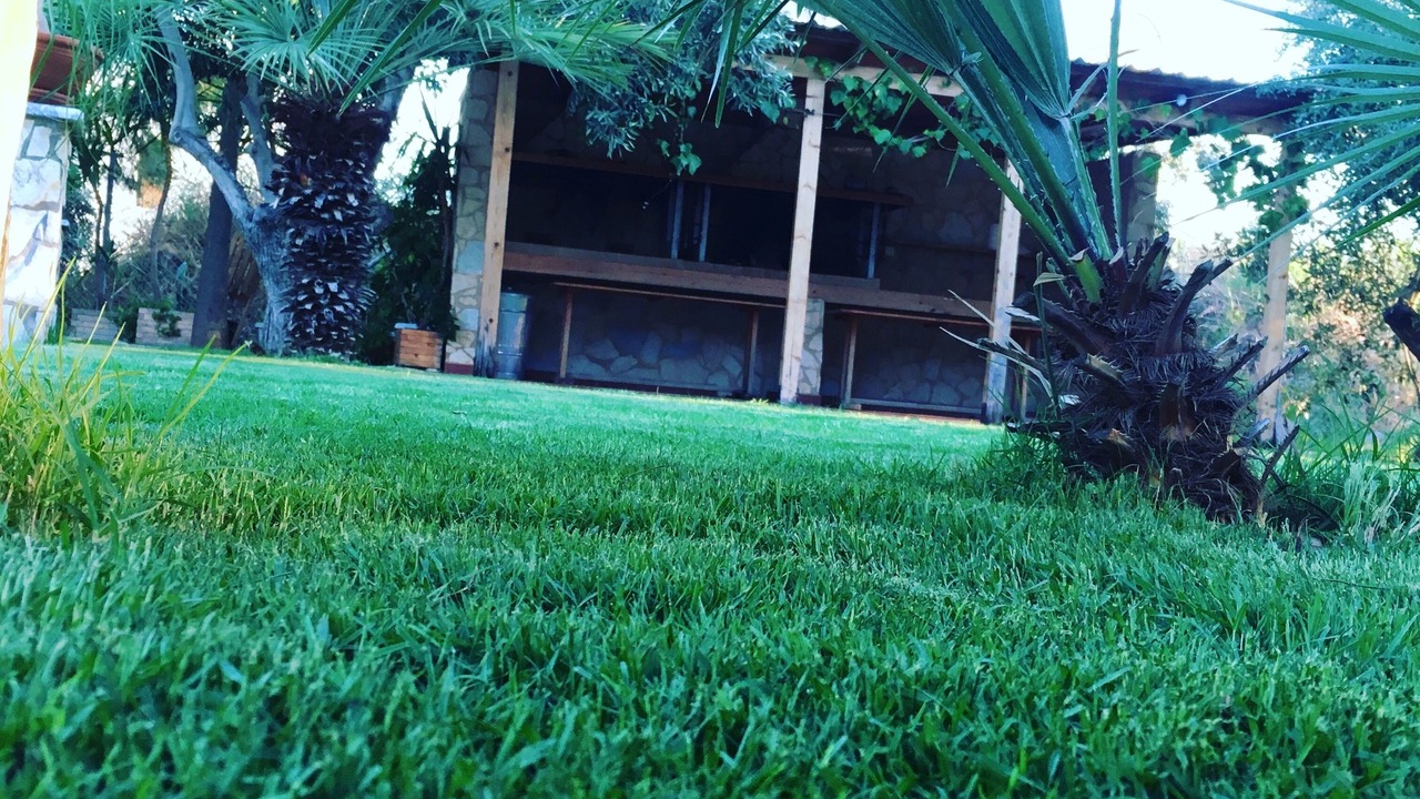 Photo of Outdoor in Astros