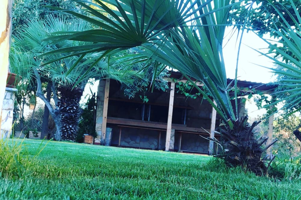 Photo of Outdoor in Astros