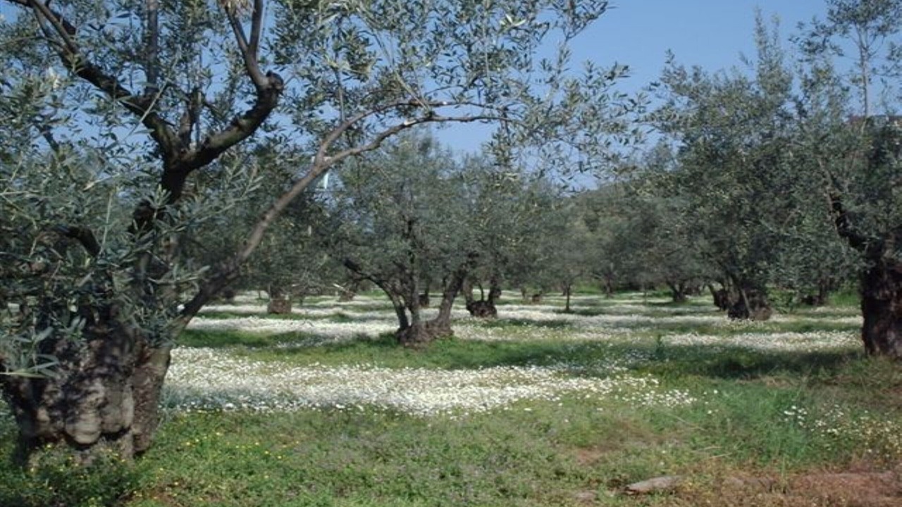 Photo of Outdoor in Pella Region