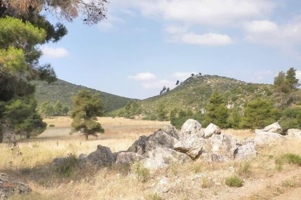 Photo of Others in Eretria