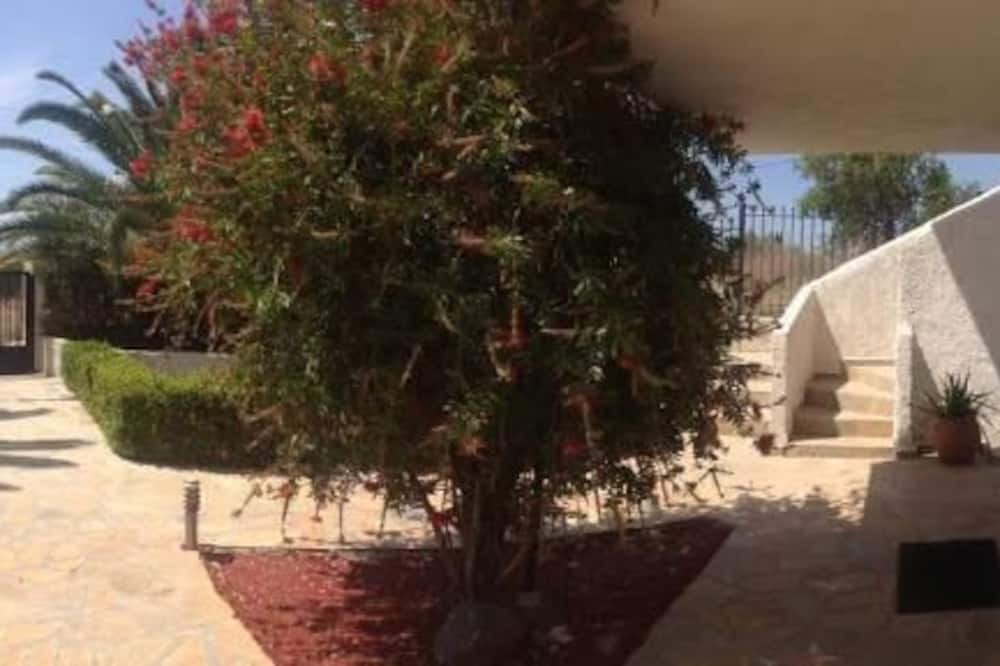 Photo of Others in Eretria