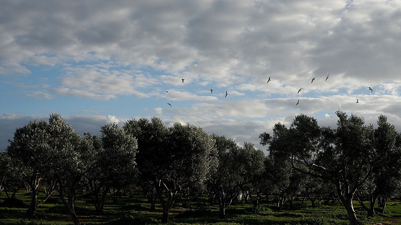 Photo of Outdoor in Vigklafia