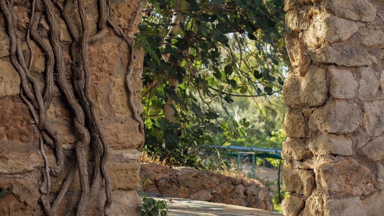 Photo of Outdoor in Vigklafia