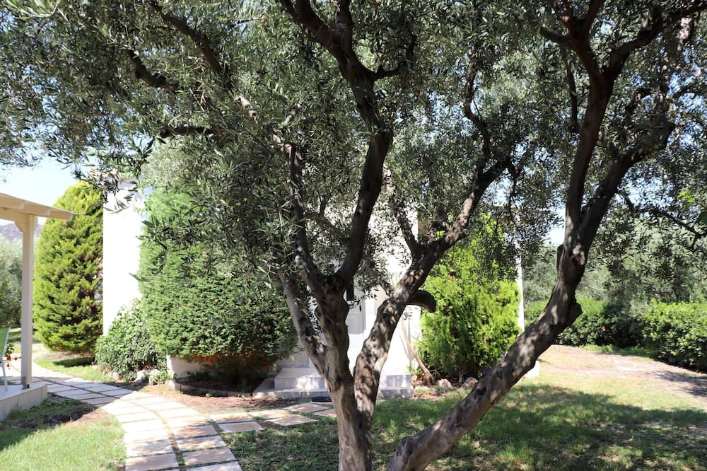 Photo of Outdoor in Plepi