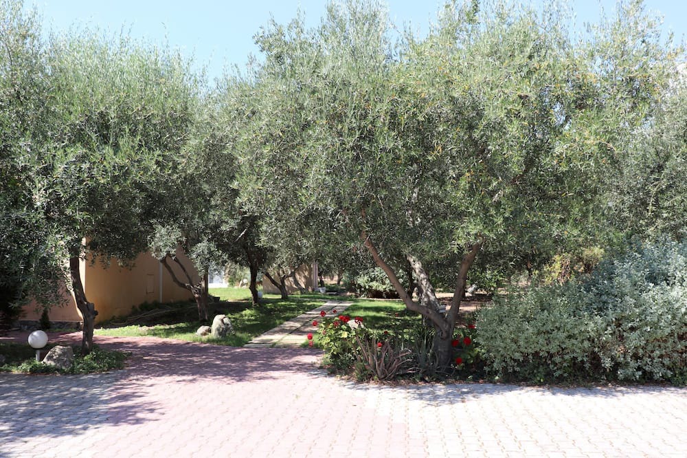 Photo of Outdoor in Plepi