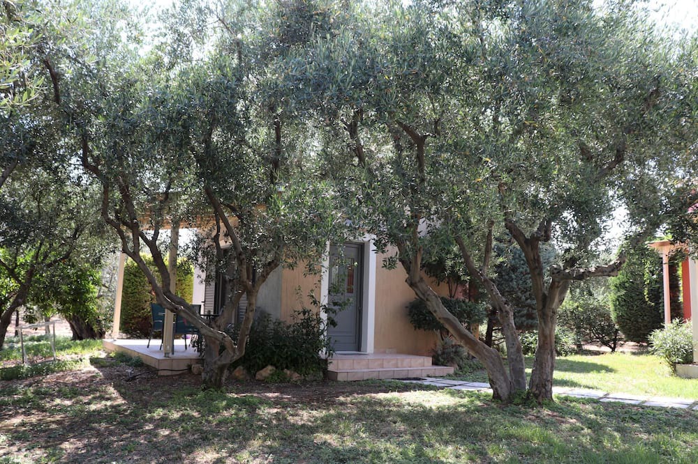 Photo of Outdoor in Plepi
