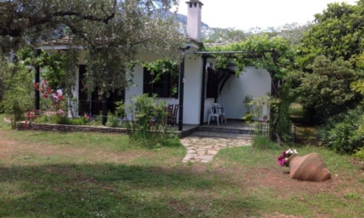 Photo of Outdoor in Golden Beach