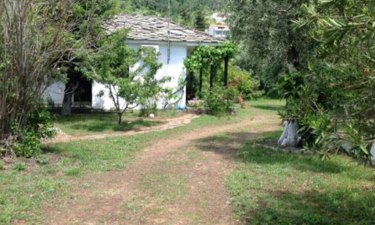 Photo of Outdoor in Golden Beach