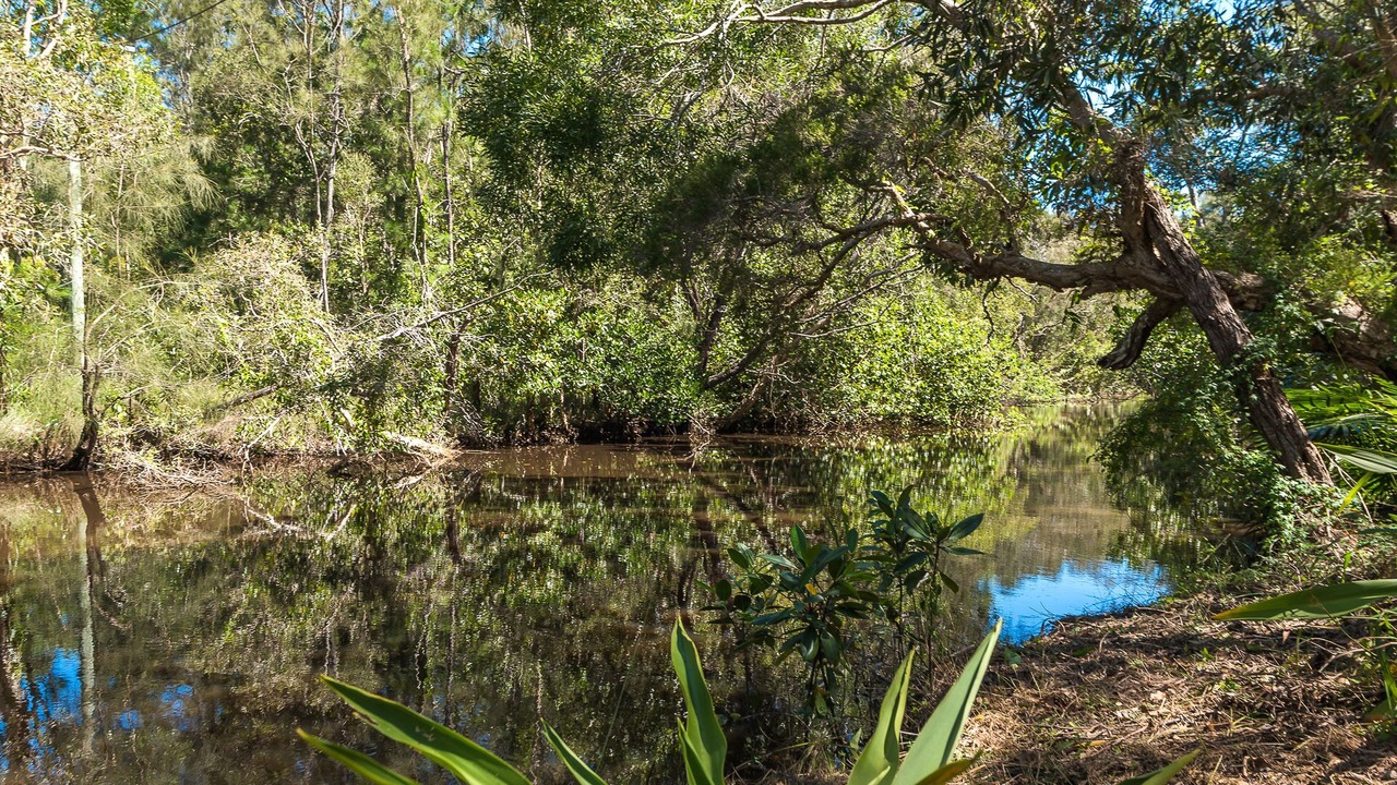 Photo of Outdoor in Cooroibah