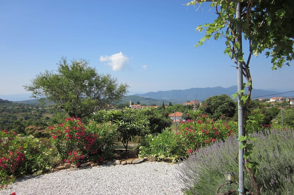 Photo of Outdoor in Lafkos