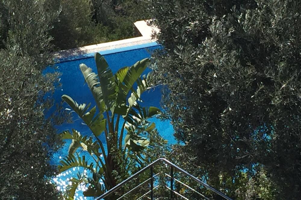Photo of Outdoor in Anidri