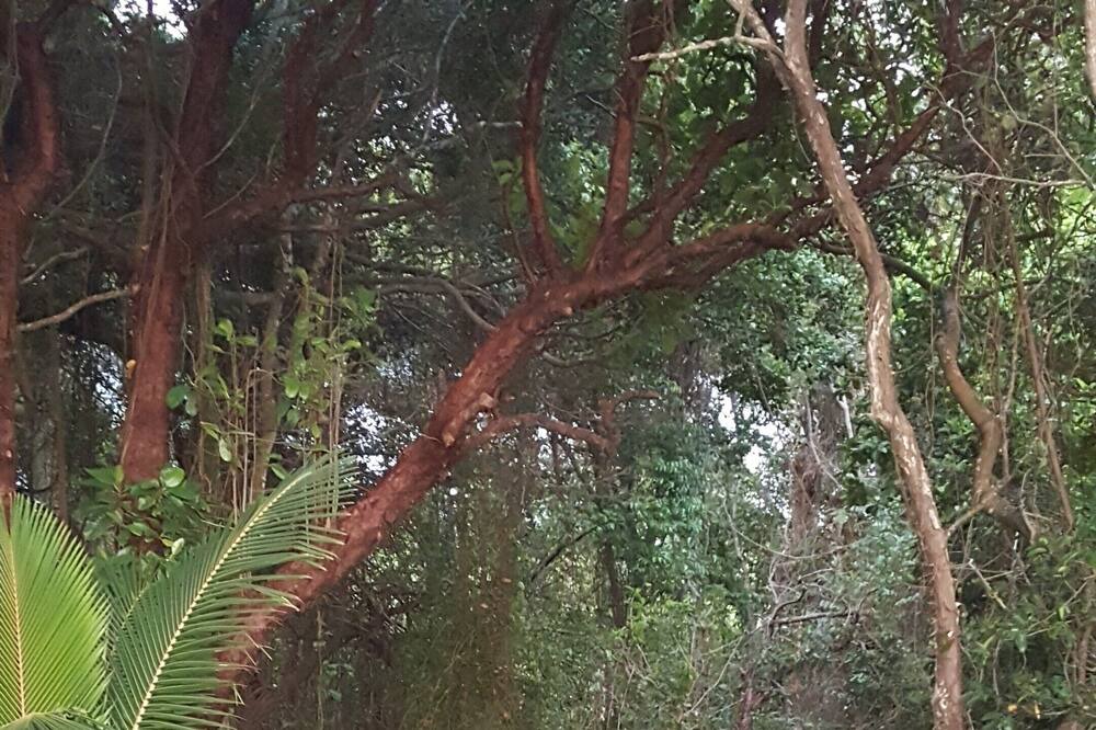 Photo of Outdoor in Craiglie