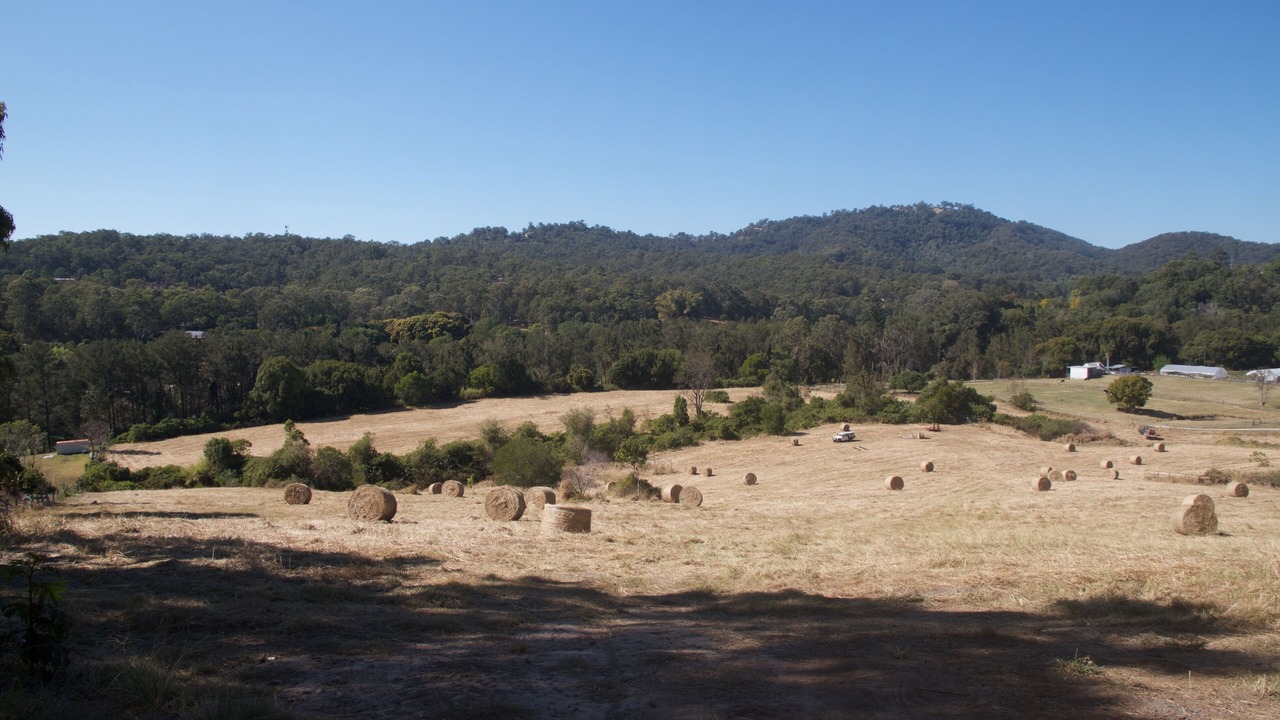 Photo of Others in Advancetown