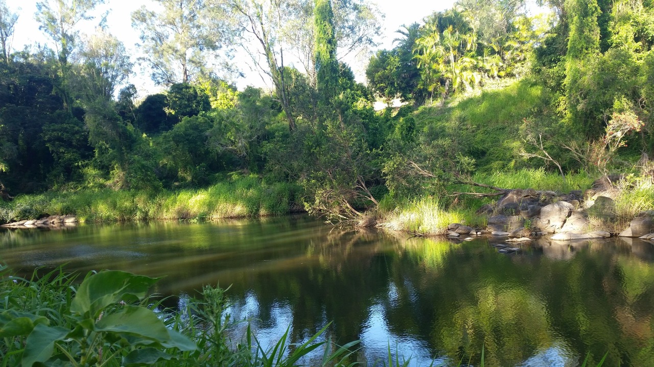 Photo of Outdoor in Advancetown