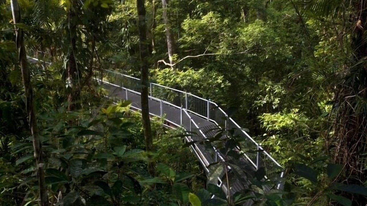 Photo of Outdoor in Cairns North