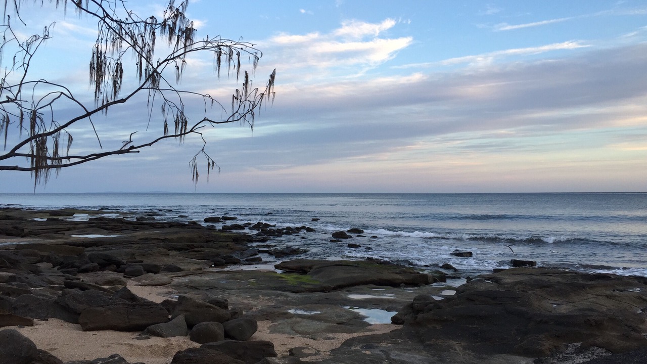 Photo of Others in Dicky Beach