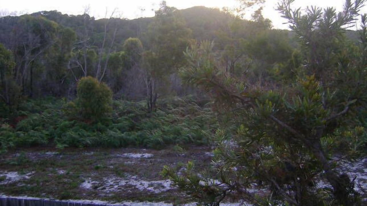 Photo of Outdoor in Sunrise Beach