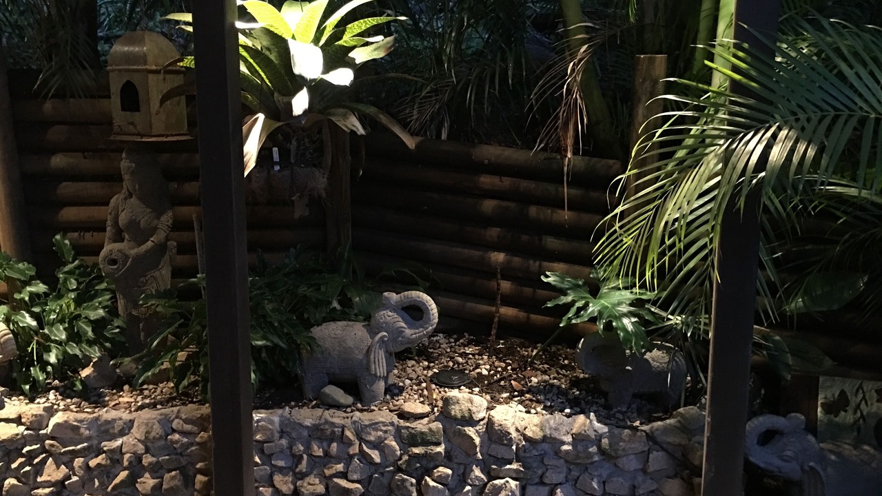 Photo of Outdoor in Cannonvale