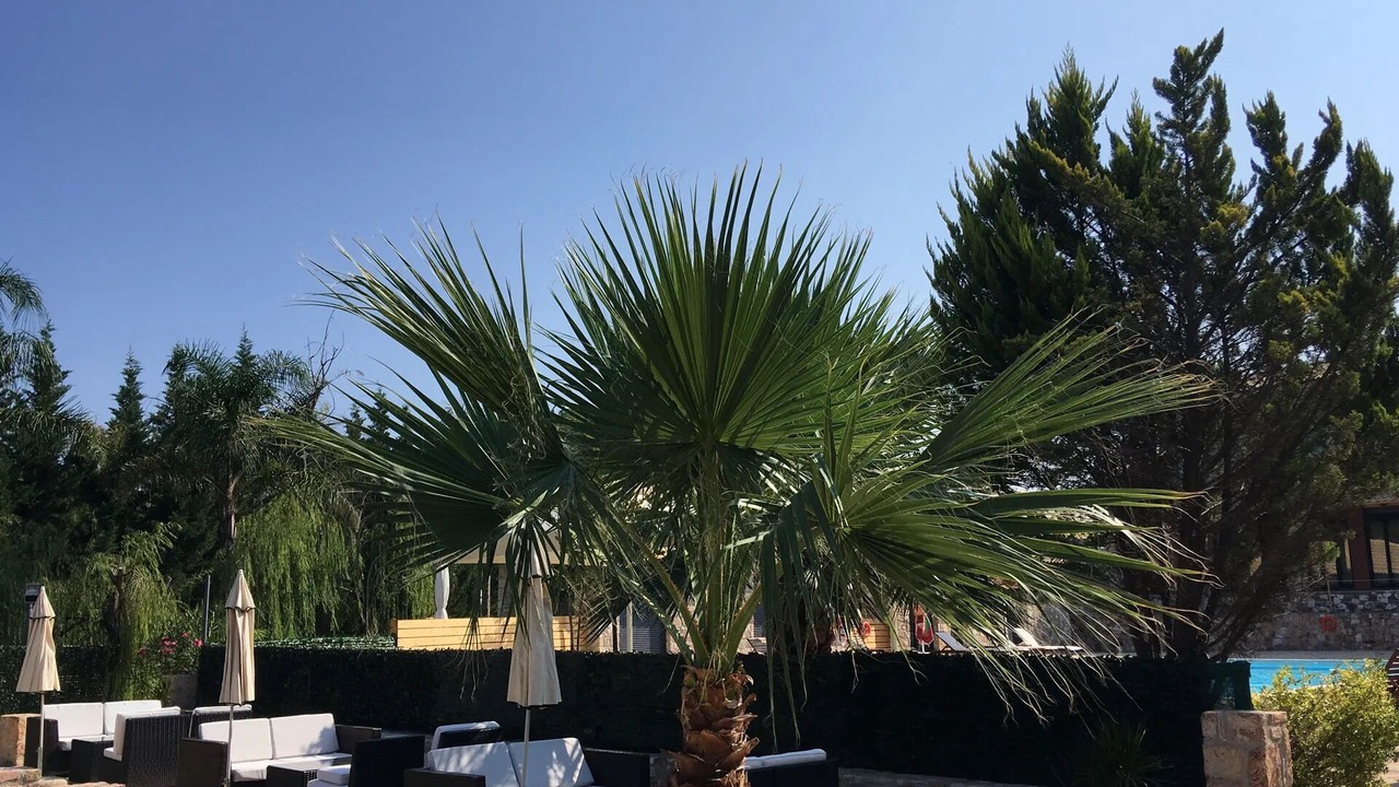 Photo of Outdoor in Edipsos