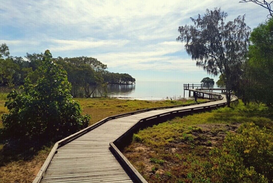 Photo of Outdoor in Nudgee Beach